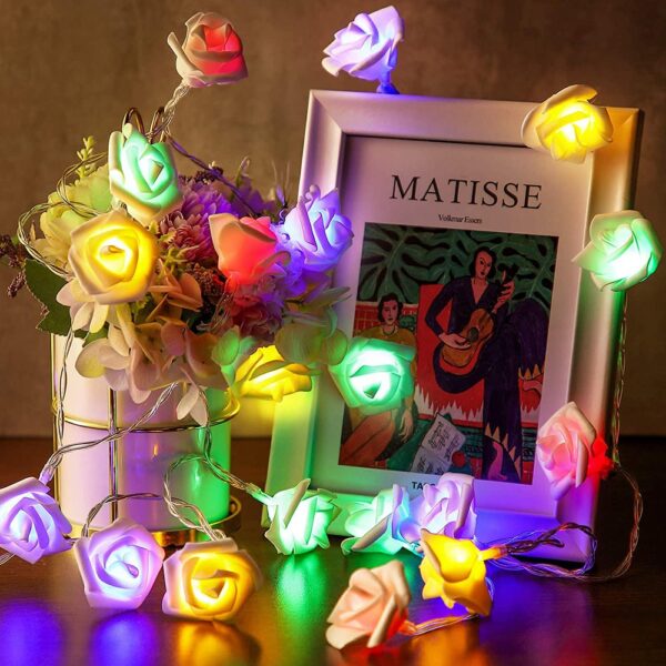 Rose flower fairy string light 80 LEDs for room decoration