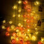 Rose flower fairy string light 80 LEDs for room decoration