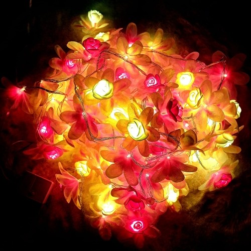 Orchid Rose Fairy Light 80 LED 25 Feet Long for Room & Home Decor