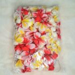 Red Yellow Orchid Light